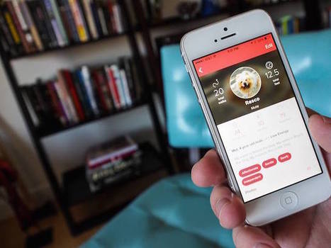 Waggle: Lifestyle App for Dog Lovers Launches on iOS | Touch Me | Scoop.it