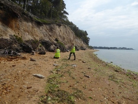 Urgent call for volunteers to survey England’s disappearing coastal archaeology | Archaeology News | Scoop.it