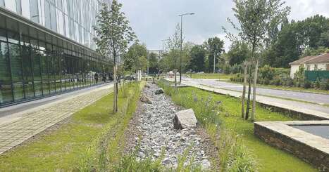 Comment les collectivit&eacute;s se convertissent &agrave; la gestion int&eacute;gr&eacute;e des eaux pluviales et abandonnent peu &agrave; peu le tout-tuyaux | Actus du jour - 15 avril  2026 | Scoop.it