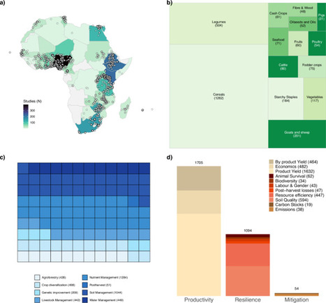 Effects of changing farming practices in African agriculture | Questions de développement ... | Scoop.it