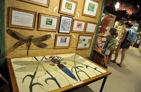 En Haute-Vienne, la Cité des insectes est à vendre | Variétés entomologiques | Scoop.it