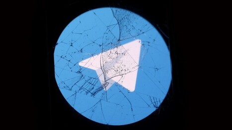 EU investigating Telegram over user numbers | The regulatory insider | Scoop.it