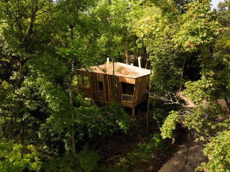 De nouvelles cabanes architecturales &eacute;closent pr&egrave;s de la for&ecirc;t de Fontainebleau | Les evolutions de l'offre touristique | Scoop.it