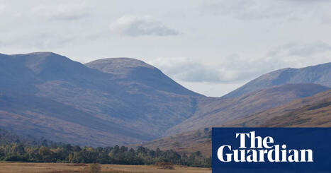 Anger over Scottish salmon farm inspections amid 35m unexpected fish deaths | Fishing industry | The Guardian | Operation Deimos | Scoop.it