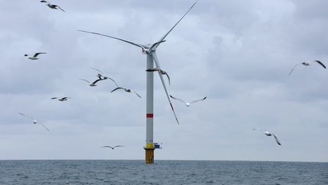 Forte hausse de la popularit&eacute; de l'investissement durable | Actualit&eacute;s Achats Responsables | Scoop.it