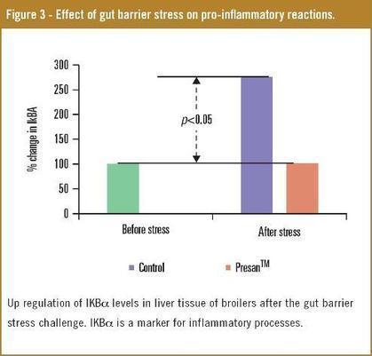 Minimising antibiotic use with integrated gut management approach - All about feed | Mucosal Immunity | Scoop.it