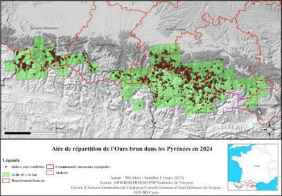 Ours infos 2024 - Rapport annuel | Biodiversité : les chiffres-clés | Scoop.it