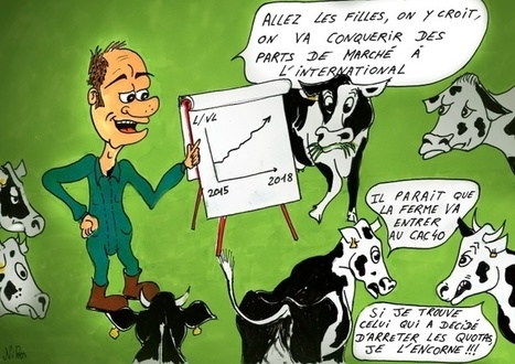[Reportages] Apr&egrave;s quotas laitiers Produire plus ? Produire moins ? Quelles strat&eacute;gies ont-ils adopt&eacute;es ? | Actualit&eacute;s de l'&eacute;levage | Scoop.it