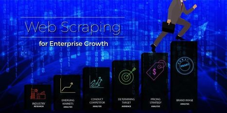 Benefits of Web Scraping in Enterprise Growth | Latest News and Videos from Habile Data | Scoop.it