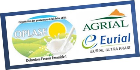 Création d’Oplase SA pour renforcer le poids des producteurs | Lait de Normandie... et d'ailleurs | Scoop.it