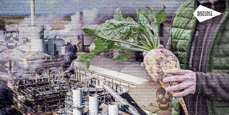 PFAS : le fabricant du sucre Daddy alimente un cycle de pollution éternelle | Les Colocs du jardin | Scoop.it