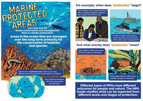 Marine protected areas could save the ocean - here's how | Biodiversité | Scoop.it