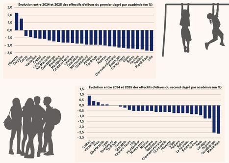 Les effectifs scolaires en chute libre | veille quotidienne | Scoop.it