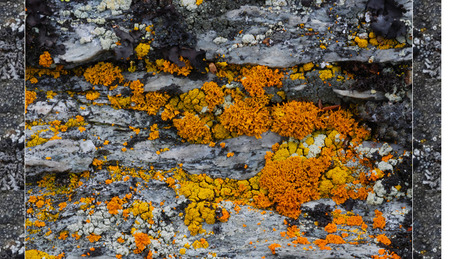 Home :: Chronopolitics — III Memo of Time | 1Uutiset - Lukemisen tähden | Scoop.it