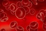 First-Ever Artificial Blood Transfusion | Science News | Scoop.it