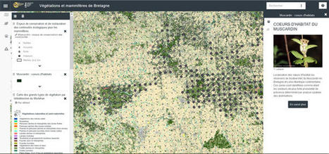 Une application inédite pour visualiser les données sur les végétations ET les mammifères de Bretagne ! | Biodiversité | Scoop.it