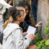 Biodiversité