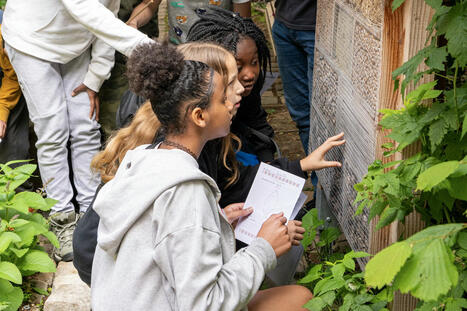 Comment les enfants perçoivent-ils la nature ? Académie du Climat | Biodiversité | Scoop.it