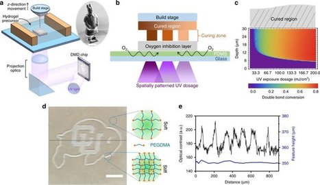 3-D bioprinting technique could create artificial blood vessels, organ tissue | Amazing Science | Scoop.it