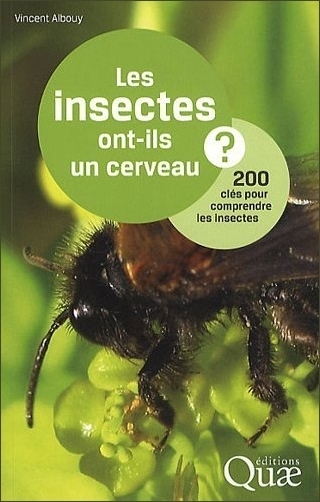 Les insectes ont-ils un cerveau ? de Vincent Albouy | Variétés entomologiques | Scoop.it
