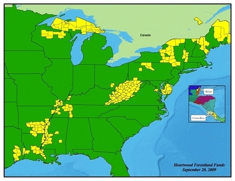 This week's featured TIMO: The Forestland Group, LLC | Timberland Investment | Scoop.it