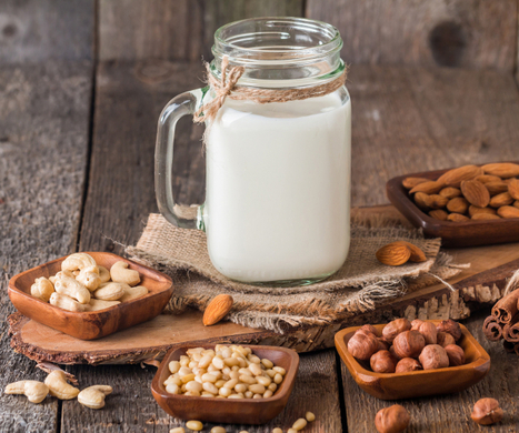Les produits laitiers et leurs alternatives végétales | FranceAgriMer - établissement national des produits de l'agriculture et de la mer | AGROALIMENTAIRE | Scoop.it
