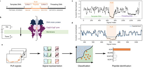 Antimicrobial peptide databases and prediction tools: Toward a standard evaluation framework | brvm | RMH | Scoop.it