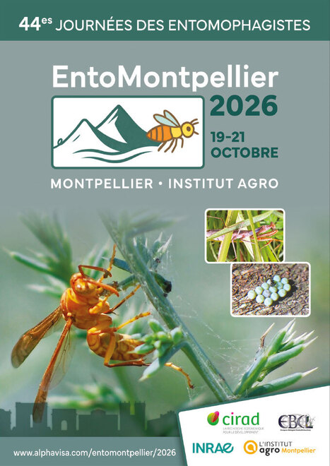 EntoMontpellier 2026 &mdash; 44es Journ&eacute;es des Entomophagistes | L'Institut Agro Montpellier | Vari&eacute;t&eacute;s entomologiques | Scoop.it