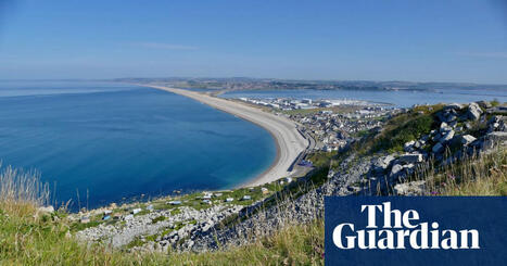 Nearly 4m hours of raw sewage dumped in England’s waters last year | Pollution | The Guardian | Microeconomics: IB Economics | Scoop.it