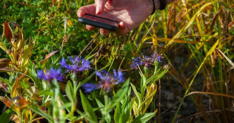 Nouvelle version de l’application « INPN Espèces » pour sensibiliser les scolaires à la biodiversité française | Biodiversité | Scoop.it