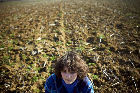 Le réchauffement climatique augmente le nombre de suicides | Toxique, soyons vigilant ! | Scoop.it