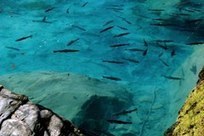La gestion de l’eau face au changement climatique — CIPRA | Planète, Nature et Biodiversité | Scoop.it