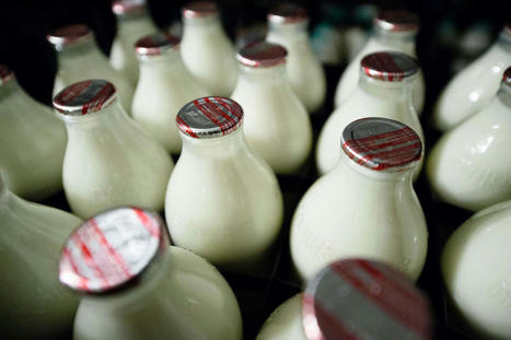 Matières premières : « La poudre met le feu au prix du lait » | Economie de l'Elevage | Scoop.it