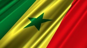 Proverbe- Sénégal - La force du baobab est dans ses racines | Citations Proverbes | Scoop.it