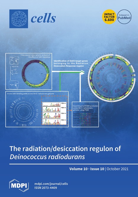 Characterization of the Radiation Desiccation Response Regulon of the Radioresistant Bacterium Deinococcus radiodurans by Integrative Genomic Analyses | I2BC Paris-Saclay | Scoop.it