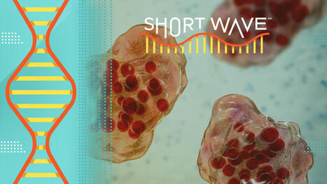 How to stay safe from the measles outbreak – with science : Short Wave - NPR.org | Operation Deimos | Scoop.it