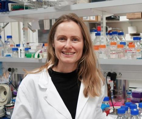 STÉPHANIE BURY MONÉ: REVEALING THE HIDDEN POTENTIAL OF BACTERIA | I2BC Paris-Saclay | Scoop.it