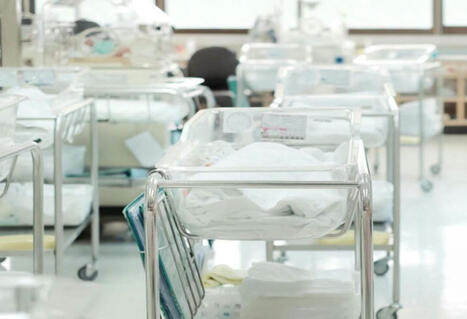 EU's baby bust: New data reveals the terrifying population plunges across the continent - AZERTAC | Centre for Population Change Connecting Generations in the news | Scoop.it