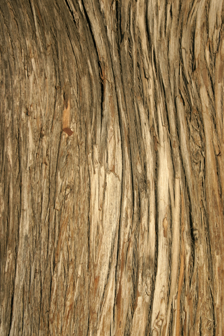 Photoshop free wood textures set | photoshop ressources | Scoop.it
