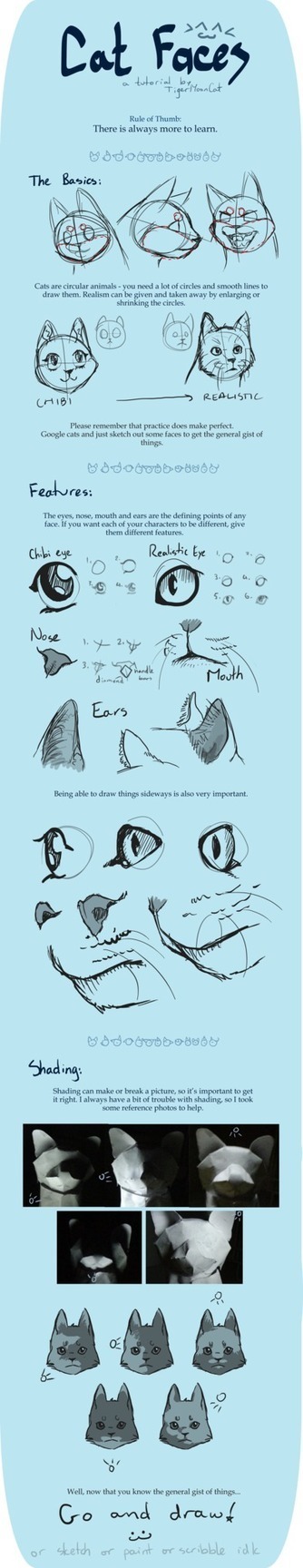 Cat Faces Drawing Reference Guide | Drawing References and Resources | Scoop.it