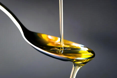 L'acide oléique de l'huile d'olive réduit la perte osseuse liée à l'infection avec l'âge | ITERG - Veille sectorielle | Scoop.it