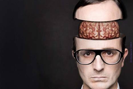 Le cerveau est-il vraiment rationnel? » | Médecine  Cerveau Intelligence | Scoop.it