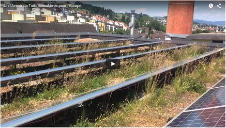 L'Avenir des toits biosolaires pour L'Europe (+ vidéo) | Build Green, pour un habitat écologique | Scoop.it