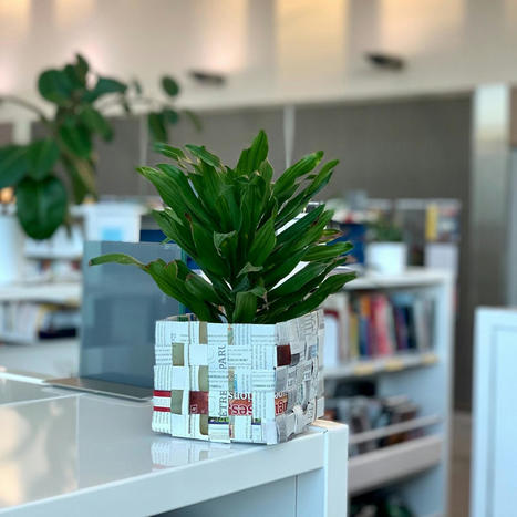 Int&eacute;grer la question environnementale dans une m&eacute;diath&egrave;que : le cas du syst&egrave;me de management environnemental | Bo&icirc;te &agrave; outils num&eacute;riques | Scoop.it