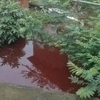 Tonnes of toxic chemical spill into Hangzhou river after tanker overturns / South China Morning Post du 19.05.2014 | Pollution accidentelle des eaux par produits chimiques | Scoop.it