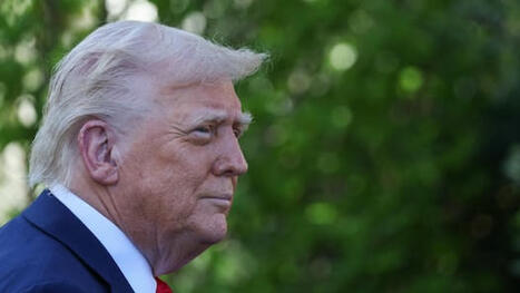 Trump signs executive order to crack down on sanctuary cities | CBC News | Newcomers and Immigrants in Canada | Scoop.it
