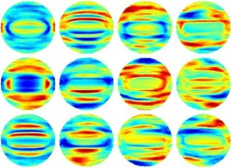 Holographic Microscopy Identifies Single Bacterium at Point of Care | In-Vitro Diagnostic | Scoop.it