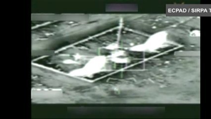 Des traces de radiation d&eacute;couvertes chez des baleines au large du Japon - Monde - Nouvelobs.com | Contenu pour mon Blog | Scoop.it