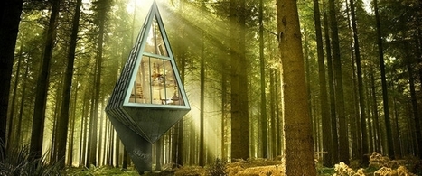 Une maison bioclimatique et design qui se fond dans la nature (+vidéo) | Build Green, pour un habitat écologique | Scoop.it