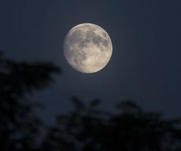 Il calendario lunare di ottobre 2016. Quali lavori fare nell'orto questo mese? | Orto, Giardino, Frutteto, Piante Innovative e Antiche Varietà | Scoop.it